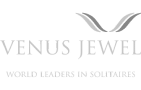 vj-logo 1